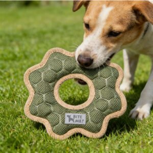 Round Squeaky Pet Chew Toys